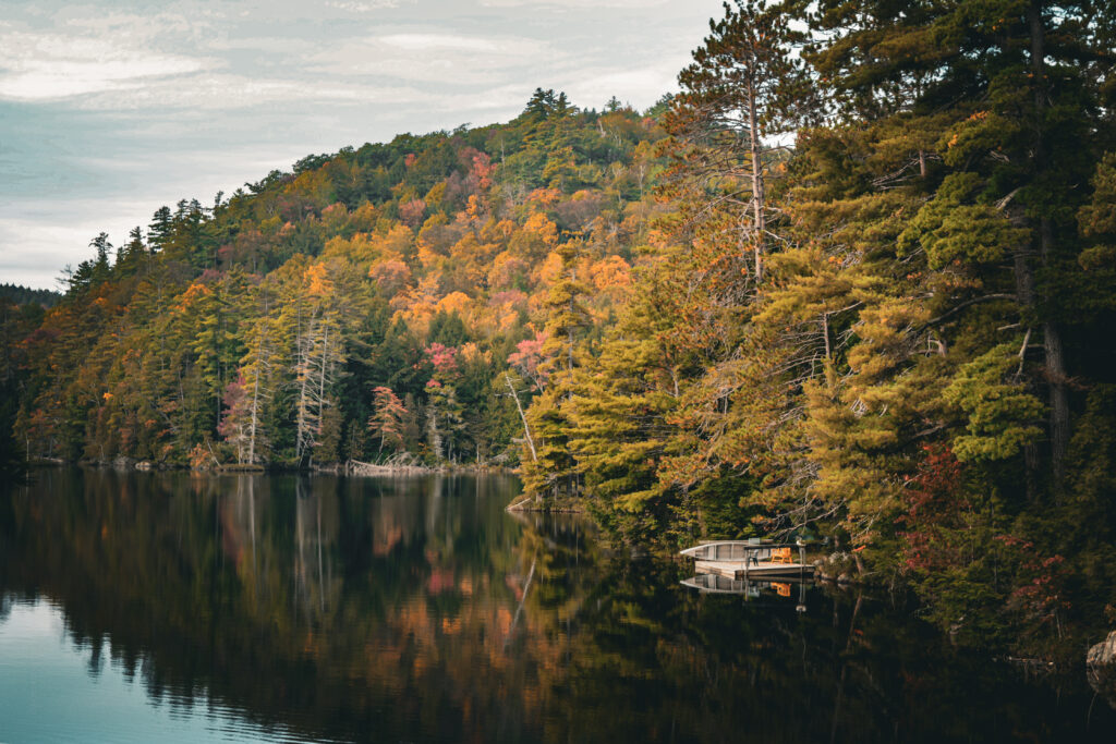 The programs featured image