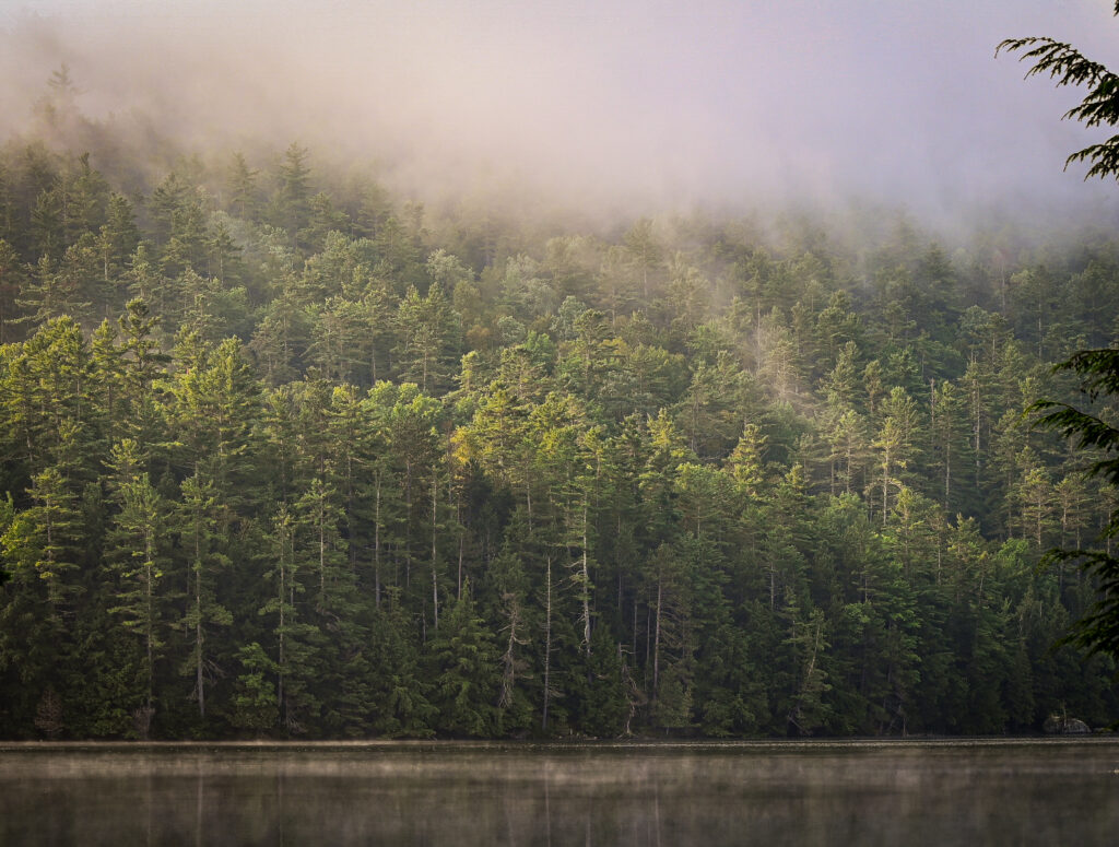 The programs featured image