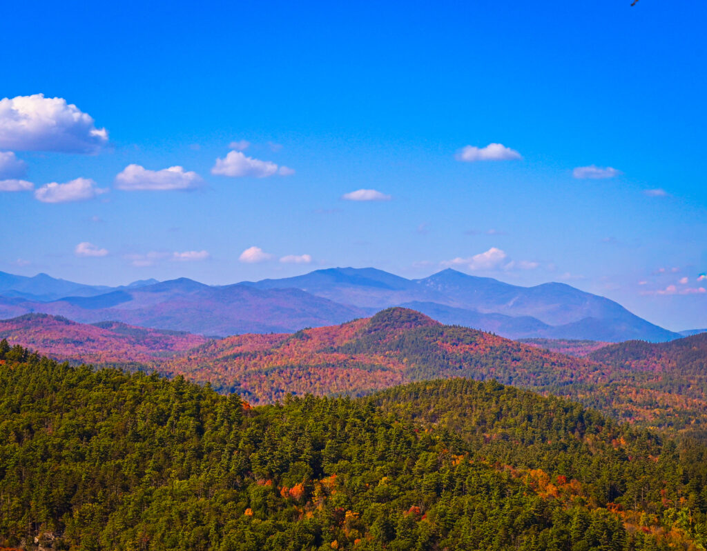 The programs featured image